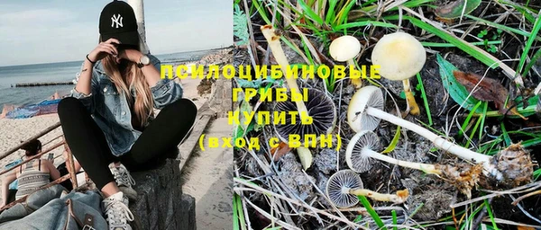 ALPHA-PVP Иннополис